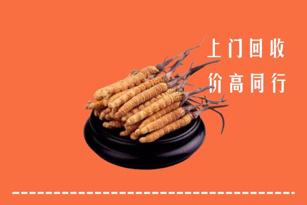 高价求购：定西市通渭县回收散虫草