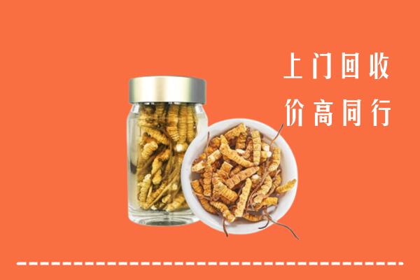 定西市通渭县回收冬虫夏草