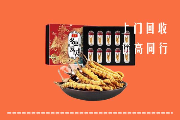 定西市通渭县回收虫草